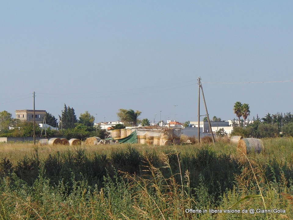 Foto: Foto Offerta Da Golia - Immagine 124