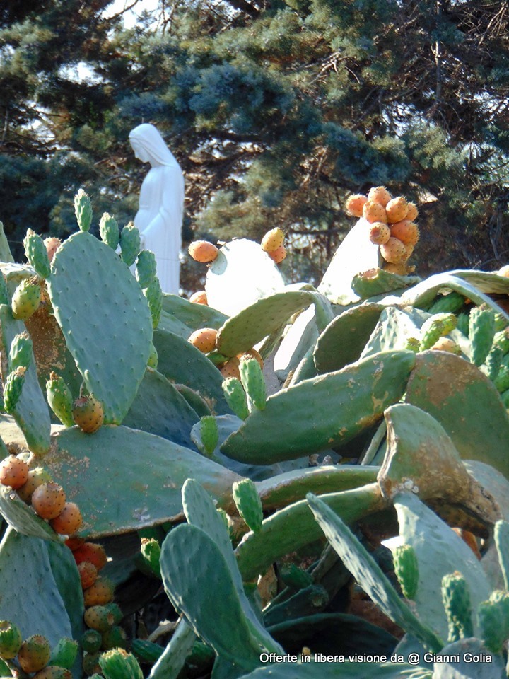 Foto: Foto Offerta Da Golia - Immagine 14
